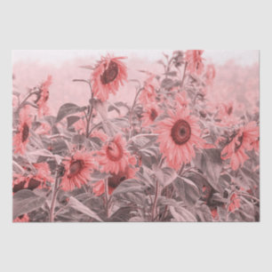 Papel De Seda Decoración de color gris rosado de Rubor Vintage F