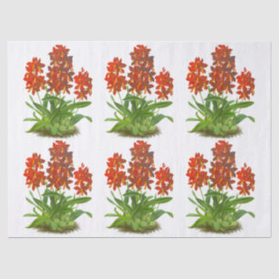 Papel De Seda Decoración de flores de orquídeas exóticas rojas n