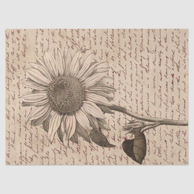 Papel De Seda Decoración de la escritura del girasol (Anverso)