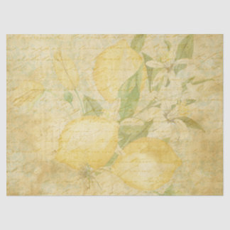Papel De Seda Decoración de la escritura floral blanca de limón 