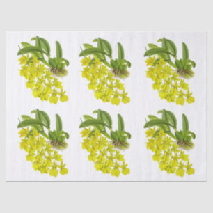 Papel De Seda Decoración de la Flor Orquídea Exótica Amarilla Vi