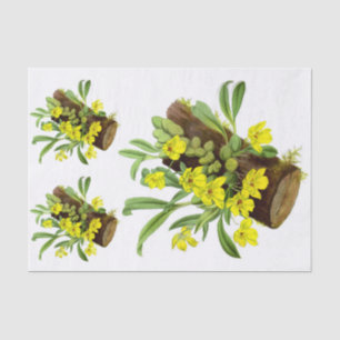Papel De Seda Decoración de la Flor Orquídea Exótica Amarilla Vi