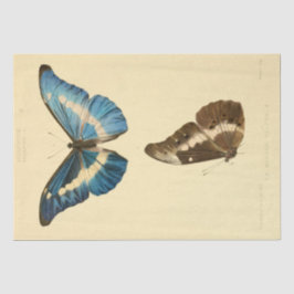 Papel De Seda Decoración de la mariposa azul del guión de la efi
