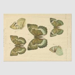 Papel De Seda Decoración de la mariposa verde del guión de la ef