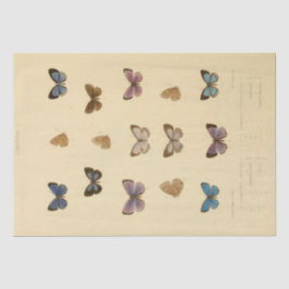 Papel De Seda Decoración de mariposa con guión de época de vinta