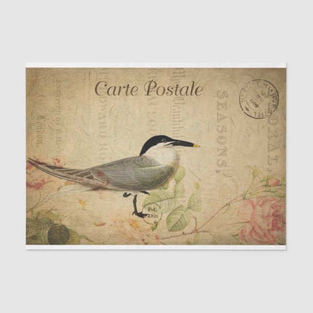 Papel De Seda Decoración de pájaro barato de la postal francesa  (Anverso)