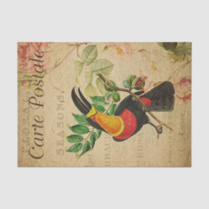 Papel De Seda Decoración de pájaros trópicos de Ephemera