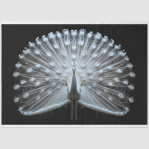 Papel De Seda Decoración de pavo real con cola blanca