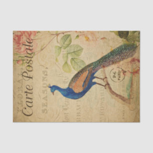 Papel De Seda Decoración de pavo real de la postal francesa Ephe