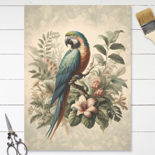 Papel De Seda Decoración de pintura botánica de Macaw de época (Subido por el creador)
