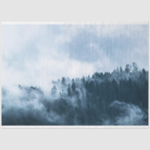 Papel De Seda Decoración del fondo de niebla forestal