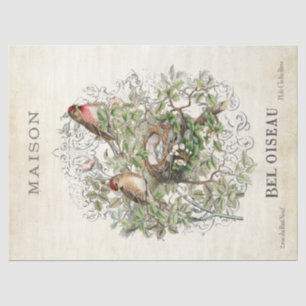 Papel De Seda Decoración del marco de la maraña de nido de aves