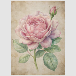 Papel De Seda Decoración rosa rosa de inspiración vintage grande