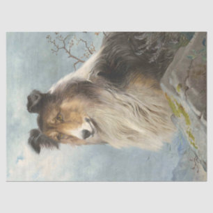 Papel De Seda Decoupagación de la página del perro de Collie