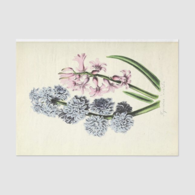 Papel De Seda Decoupage azul y rosa de la efemera floral (Anverso)