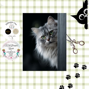 Papel De Seda Decoupage Caprichoso Gato Persa Gris Blanco