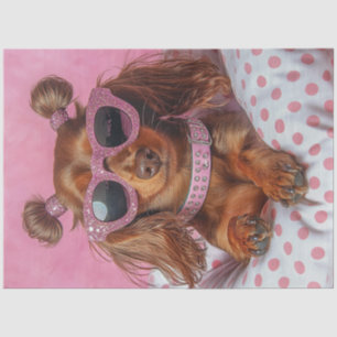 Papel De Seda Decoupage Dachshund de cabello largo en PINK