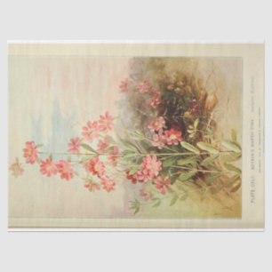 Papel De Seda Decoupage Daisy Rosa Floral Ephemera