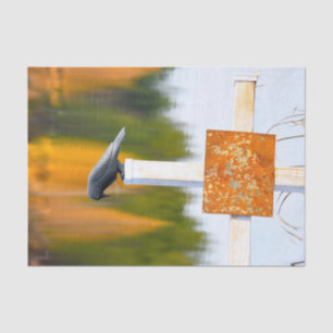Papel De Seda Decoupage de Cuervo Otoño Naranja