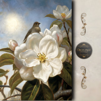Papel De Seda Decoupage de Flor de Magnolia de Pájaro Antiguo