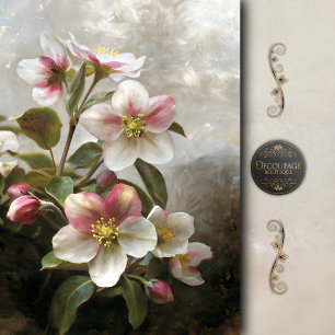 Papel De Seda Decoupage de Flor de Manzano Rosa Pintoresco