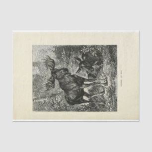 Papel De Seda Decoupage de la época de la escarcha de alce