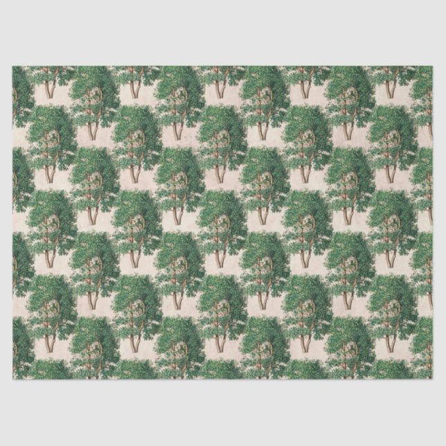 Papel De Seda Decoupage de los Árboles Verdes (Anverso)