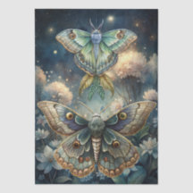 Papel de seda decoupage de mariposas nocturnas flo