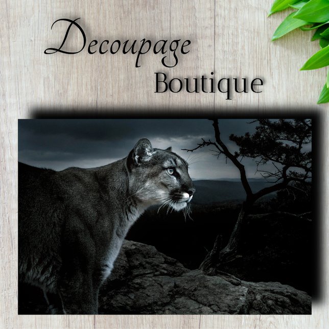 Papel De Seda Decoupage de Puma (Mountain Lion Decoupage Tissue Paper)