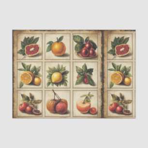 Papel De Seda Decoupage de rejilla botánica de frutas vintage