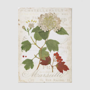 Papel De Seda Decoupage de texto botánico francés de Hortensia V