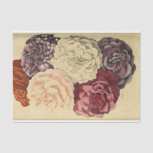 Papel De Seda Decoupage Ephemera Floral Púrpura Blanco Rosa