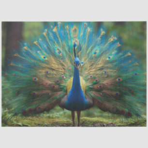 Papel De Seda Decoupage Forestal Pavo Real 