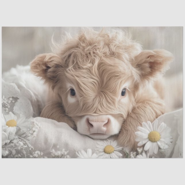 Papel De Seda Decoupage Highland Calf White Daisies (Anverso)