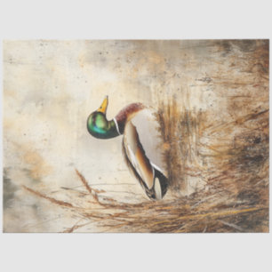 Papel De Seda Decoupage Mallard Duck Scene Gentleman's Haven