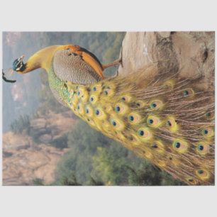 Papel De Seda Decoupage Montaña Majestuoso Pavo Real Dorado 