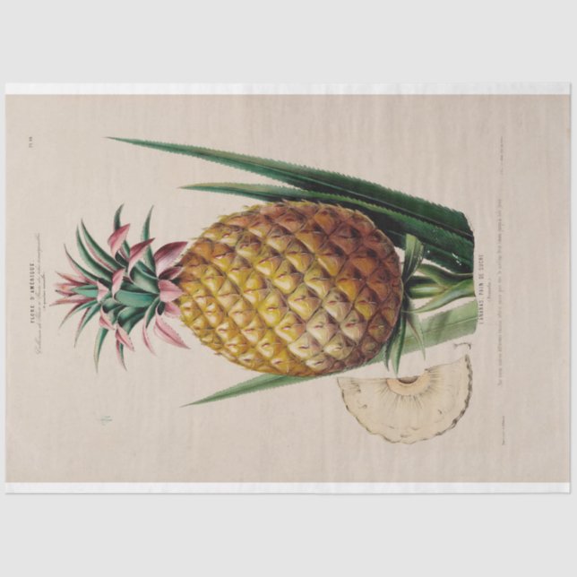 Papel De Seda Decoupage Pineapple (Anverso)