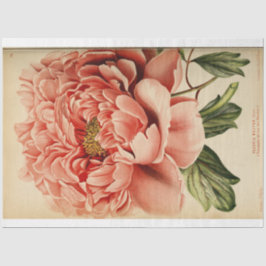 Papel De Seda Decoupage Pink Peony