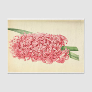 Papel De Seda Decoupage rosa de efemera floral