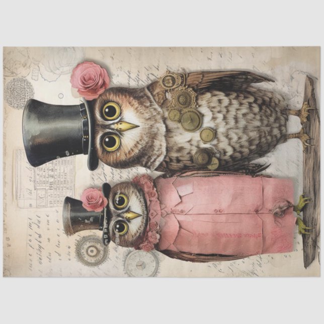 Papel De Seda Decoupage Steampunk Mr & Mrs Owl Scrapbooking (Anverso)