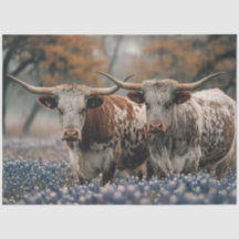 Decoupage Texas Longhorns Campo Flores Bluebonnet