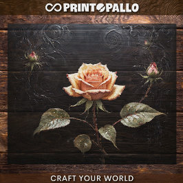 Papel De Seda Decoupage - Una sola rosa rosada sobre el negro -