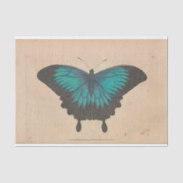 Papel De Seda Decoupage Verde azulada de la mariposa azul vintag