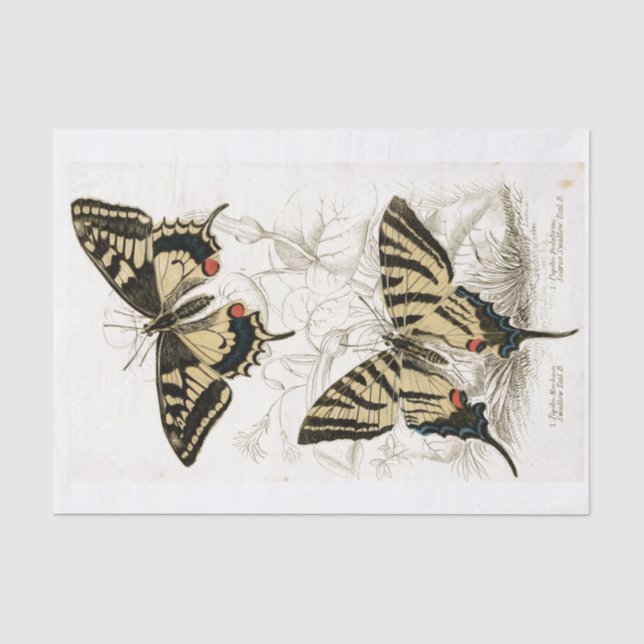 Papel De Seda Decoupage Vintage Butterflys  (Anverso)