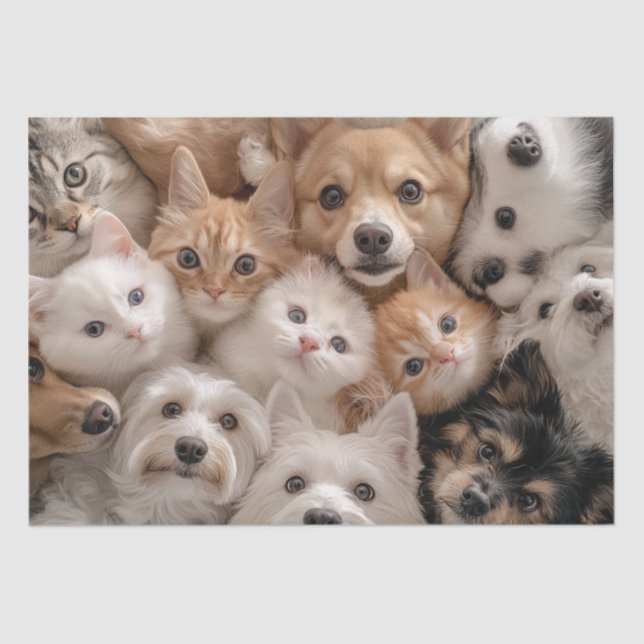 Papel De Seda Decoupage Whimsical Cats & Dogs Escena Alarmante (Anverso)