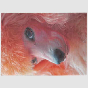 Papel De Seda Decoupage Whimsical Pink Hairdo Standard Poodle