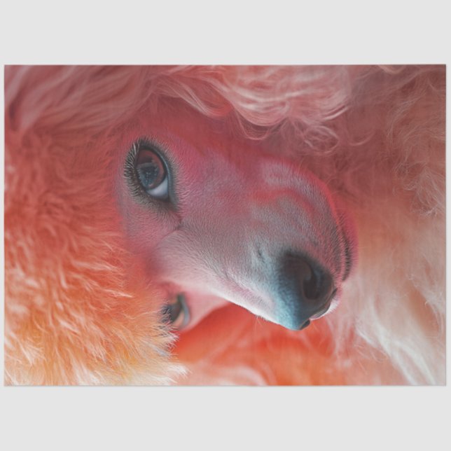 Papel De Seda Decoupage Whimsical Pink Hairdo Standard Poodle (Anverso)