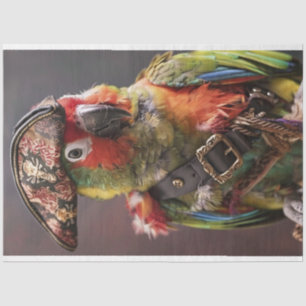 Papel De Seda Decoupage Whimsical Pirate Conure Parrot