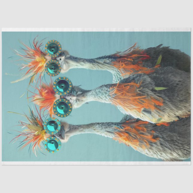 Papel De Seda Decoupage Whimsical Wackadoodle Bird Art (Anverso)