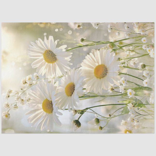 Papel De Seda Decoupage White Daisies Natural (Anverso)